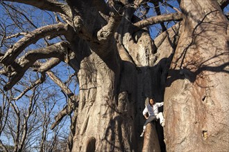 Man sitting on an African african baobab
