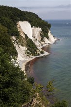 Chalk cliffs and chalk coast