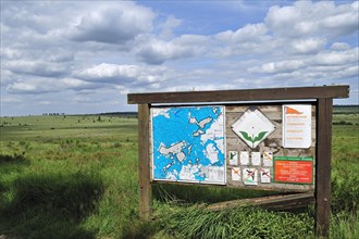 Information board in the nature reserve High Fens