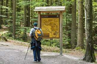 Visitor reading information board with map in the Tierfreigelaende