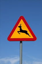 Warning sign for deer crossing the road