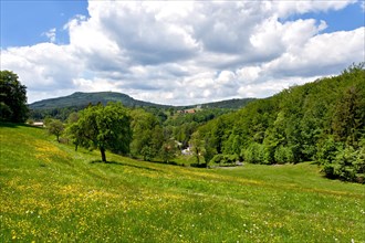 Green hilly landscape around Lueckendorf