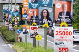 Election campaign posters on the occasion of the state election in Hesse on 08 October 2023 hang one after the other on several lampposts in Frankfurt am Main.