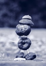Funny chestnut figure in winter alienation