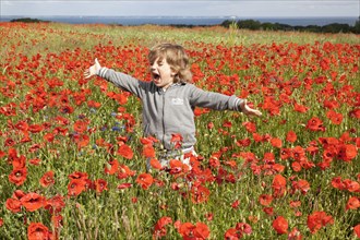Boy in a field of poppies in blossom