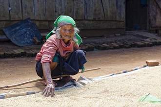 Old woman drying rice