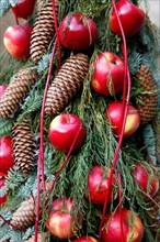 Christmas apples and pine cones on a Christmas tree