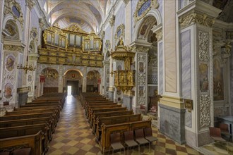 View of the organ