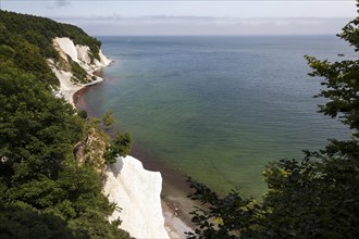 Chalk cliffs and chalk coast