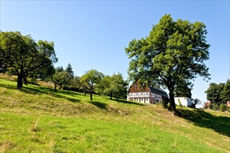 Lueckendorf