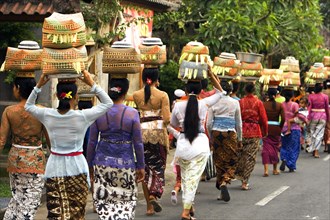 Women carrying baskets on their heads