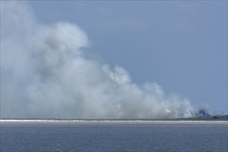 Fire in the salt marsh on Mellum Island