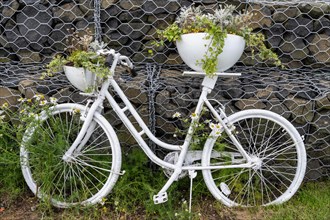 White painted bicycle with flower pots as decoration along the path