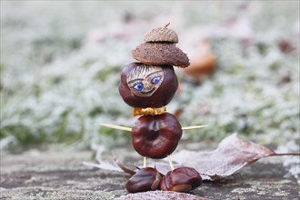 Funny chestnut figure in winter