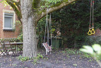 Children's swing on a tree