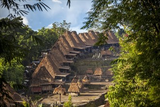 Traditional hut village