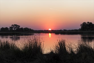 Sunset in the Okavango Delta
