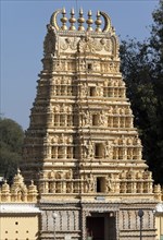 Sri Shweta Varahaswamy Temple