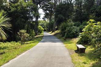 Garden access road