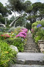 19th century subtropical garden