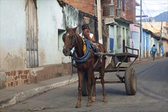 Horse pulling cart in the streets of Trinidad
