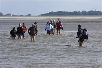 Crossing the tidal flat of a group of tourists by a certified tidal flat guide