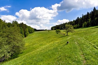 Green landscape in the Zittau Mountains