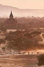 Bagan in the haze