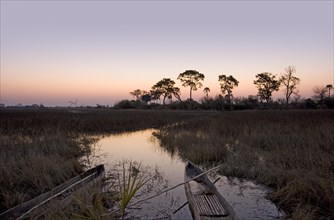 Okavango Delta in the evening