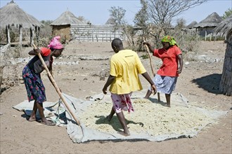Women working in the village at Tsodilo Hills