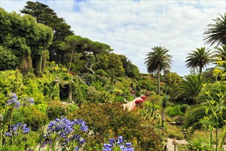 19th century subtropical garden