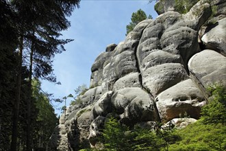 Rocks in the Zittau Mountains