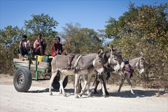Children with donkey carts