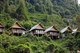 Nong Kiho River Side Bungalow Resort for Tourists Jungle
