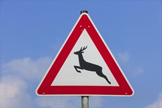 Wildlife warning sign for deer crossing the road against blue sky