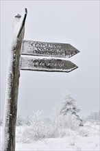 Frozen signpost in the nature reserve High Fens