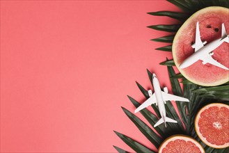 Composition small airplanes plant leaves grapefruit watermelon
