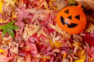 Photo of a Halloween pumpkin on a background of red autumn leaves