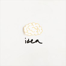 Elevated view brain with idea word white background