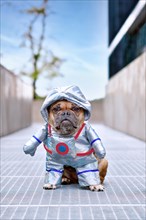 French Bulldog wearing funny Halloween astronaut dog space suit costume