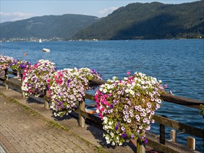 Flower decoration on Lake Ossiach