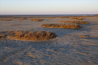 View into the mudflats to the north on the island of Minsener Oog