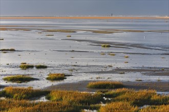 View into the mudflats to the north on the island of Minsener Oog