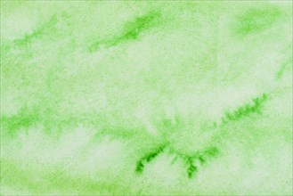 Abstract paper textured with green watercolor backdrop