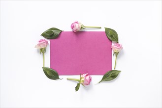 View flowers leaves surrounding blank pink paper white surface