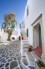 White Cycladic houses with flower pots