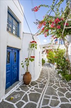 White Cycladic houses with blue door and bougainvillea