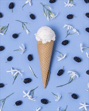 White vanilla ice cream surrounded by blackberries flowers