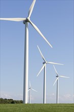 Wind turbine in a meadow