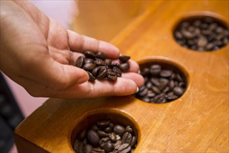 Close up female hand holding coffee beans